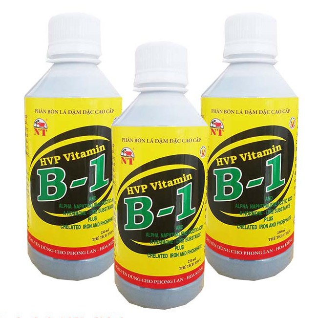 Phân bón lá Cao cấp, đậm đặc vitamin B1 HVP kích thích ra rễ, nảy chồi (250ml)