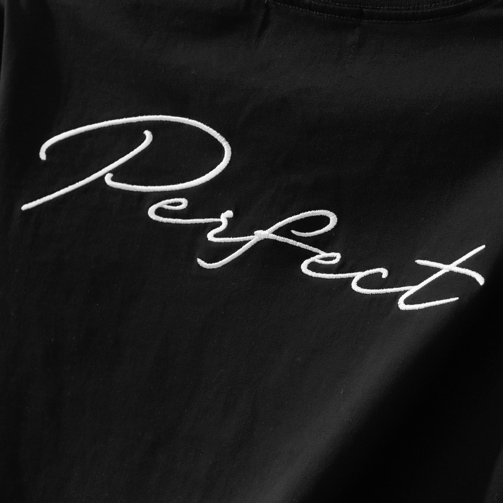 Áo thun nam cổ tròn PEREECT,vải Cotton co giãn,dày dặn, form chuẩn,thiết kế Phong Cách đơn giản,cực đẹp, AREMI ATS0004 | BigBuy360 - bigbuy360.vn