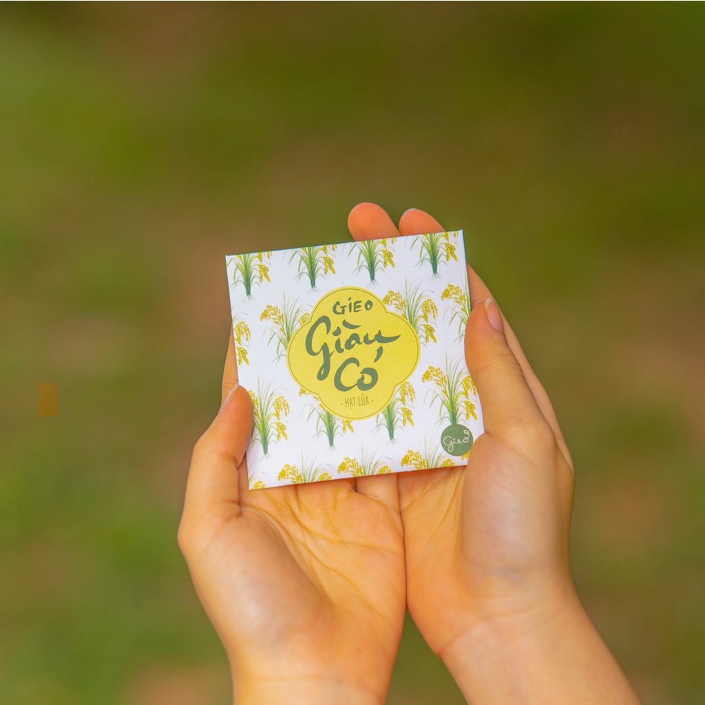Phong bao Gieo Giàu có - Hạt lúa