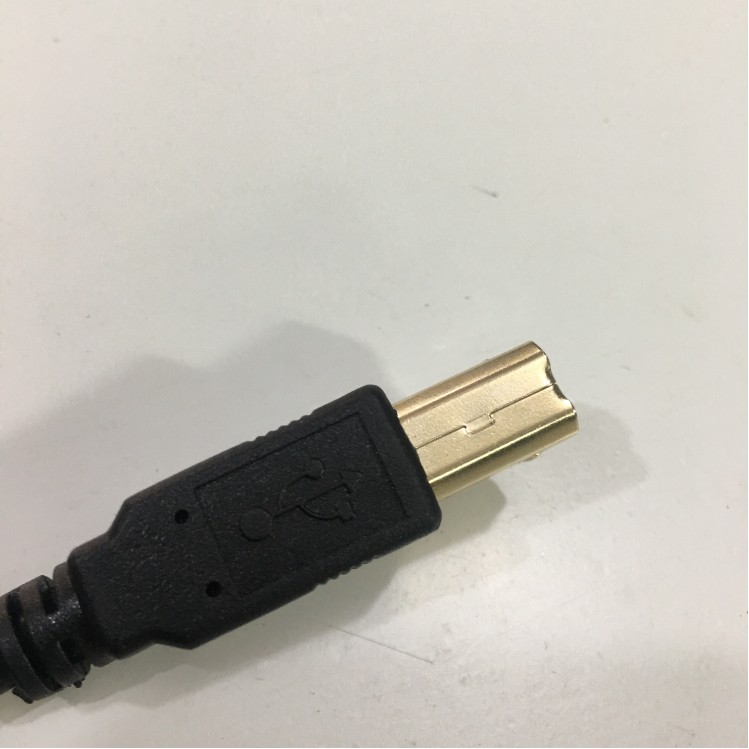 Cáp Máy In USB 2.0 Type A Male To Type B Male Dài 2M