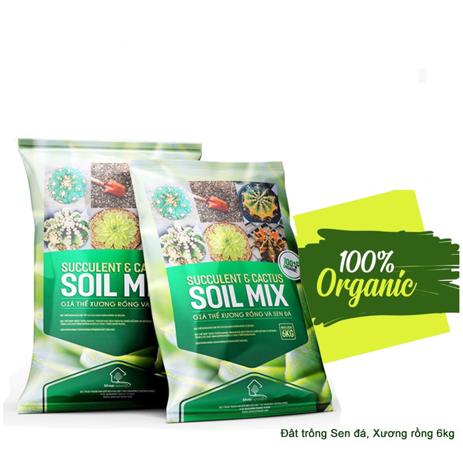 Túi 6kg Giá thể trộn sẵn trồng xương rồng, sen đá, cây mọng nước Soil Mix 100% Organic