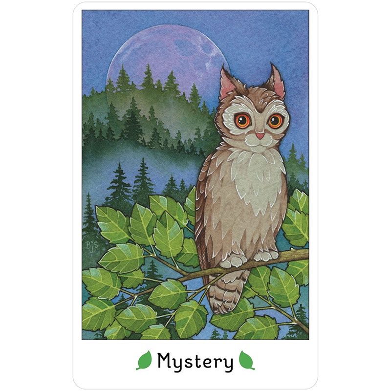 Bộ Bài Affirmations of the Fairy Cats Deck  - Bài Gốc Authentic Chính Hãng 100%