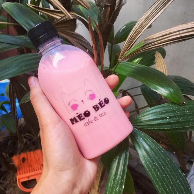 Combo 50 Chai dẹt siêu cute 250ml