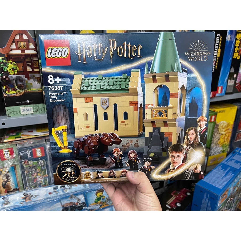 LEGO 76387 - Harry Potter - Hogwarts Fluffy Encounter - Cuộc đụng độ với Fluffy tại Hogwarts
