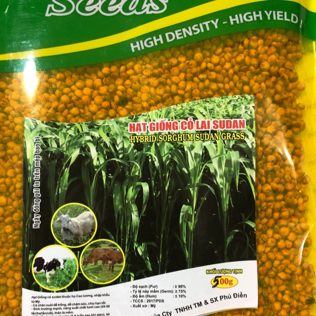 HẠT GIỐNG CỎ SUDAN 500gr