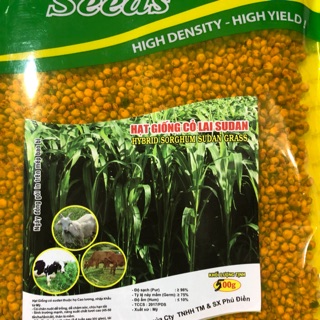 Hạt giống cỏ sudan 500gr
