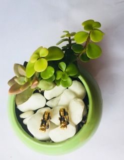 Tỳ hưu tài lộc đổi màu (L=1.8cm)