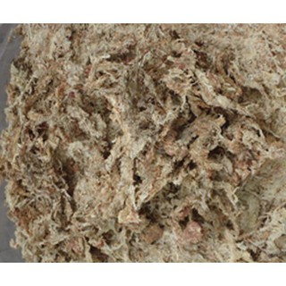 {GIÁ TẬN GỐC } Dớn trắng (dớn mềm) chất trồng hoa lan 200g