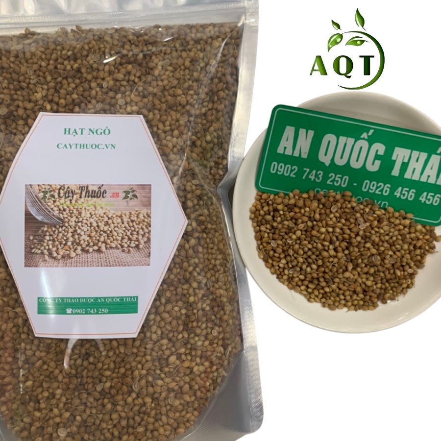 1KG Hạt Ngò Rí (Hạt Mùi Khô) Thơm, Sạch, Gia Vị Nấu Phở, Nấu Sâm Thơm Ngon