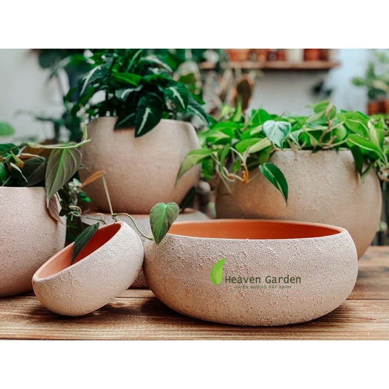 Chậu đất nung phun cát vintage