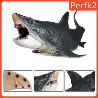 Mô hình cá mập Megalodon chân thật
