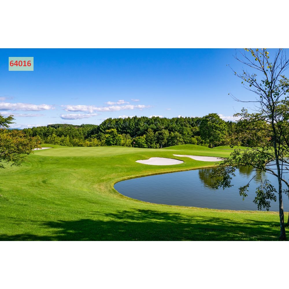 Tranh thác nước thiên nhiên khổ lớn, không giới hạn kích thứớc