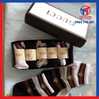 Combo 5 đôi tất nam Gucci cực đẹp