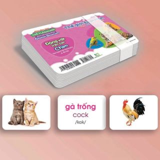 Flashcard kt A5 15x21cm chuẩn theo PP Giáo dục sớm của Glenn Doman - 36 thẻ - chủ đề: Động vật trên cạn & Chim