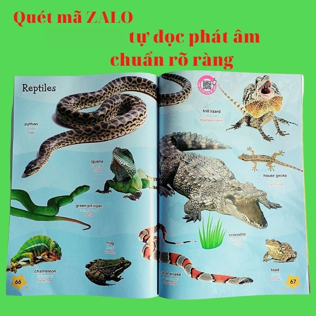 Chinh Phục Tiếng Anh Cùng Bé Tư Duy Ngoại Ngữ - Q.uét Mã Q.R Để Đọc- Hình Ảnh,  m Thanh Phụ Đề Rõ Ràng - ALOKIDS TB