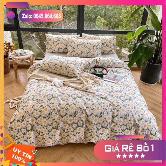 Sét chăn ga gối cotton DEMI hàng loại 1