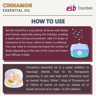 Tinh dầu Vỏ Quế – Essenbee – 20ml