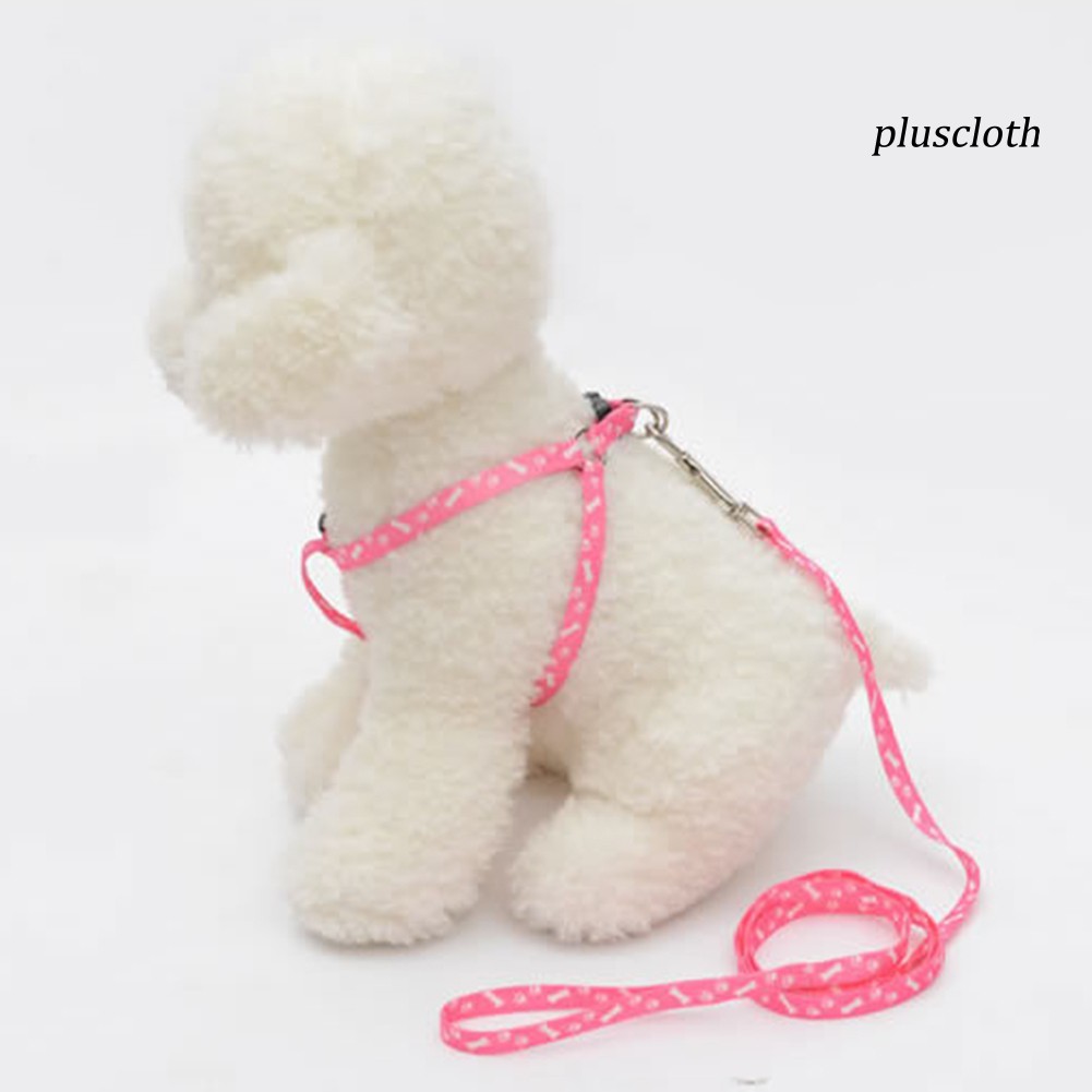 Dây Dắt Thú Cưng Đi Dạo Nhiều Màu 120cm