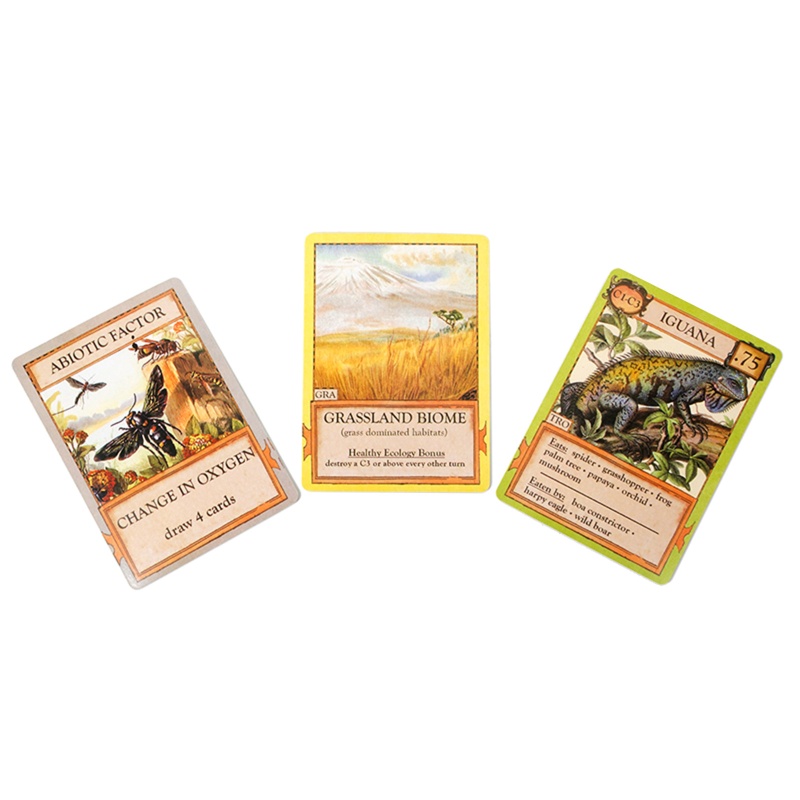 Bộ Bài Tarot Cổ Điển Độc Đáo