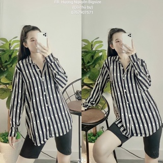 55-90kg BIGSIZE SET SƠ MI VLTN