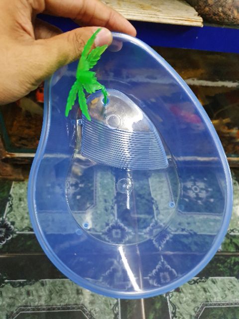 BỂ NUÔI RÙA BABA THÚ CƯNG RẤT DỄ THƯƠNG 20x15x10cm