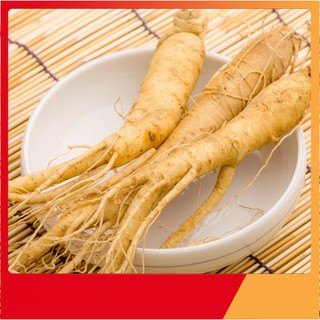 Hạt giống Nhân sâm Hàn Quốc