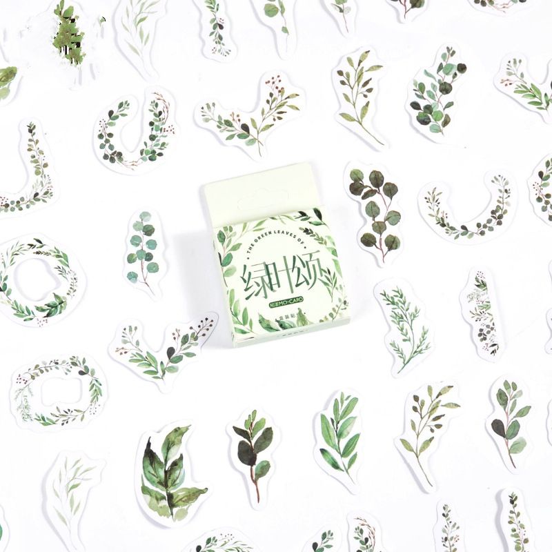 Hộp 45 hình dán sticker lá cây