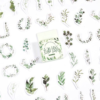 Hộp 45 hình dán sticker lá cây