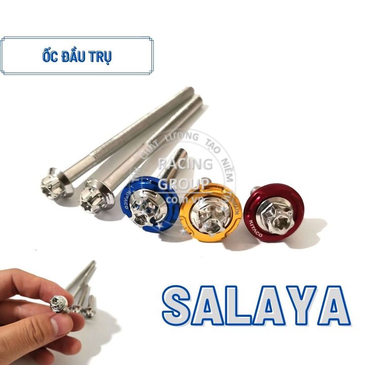 Ốc Salaya 6li15, 6li20, 6li30, 6li40, 6li50, 6li65, 6li80, 6li90 đầu trụ gắn lốc máy và nhiều vị trí khác cho xe máy