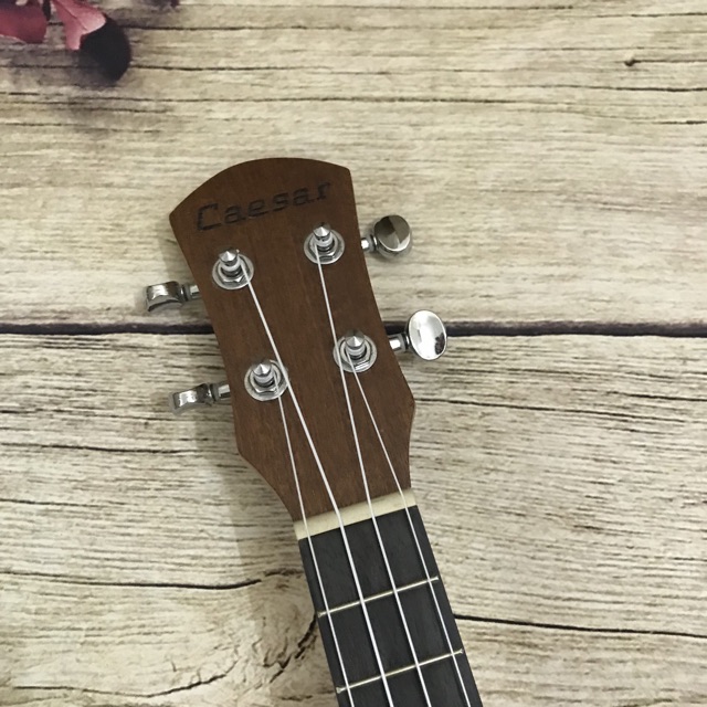 (GIẢM GIÁ)ĐÀN UKULELE CONCERT MG5 HOẠ TIẾT