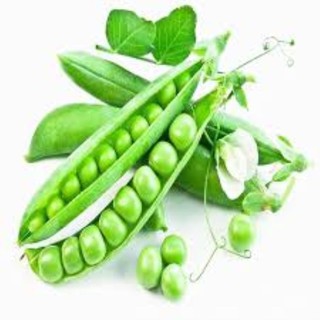 20g Hạt giống Đậu Hà Lan (Lấy Hạt)   
