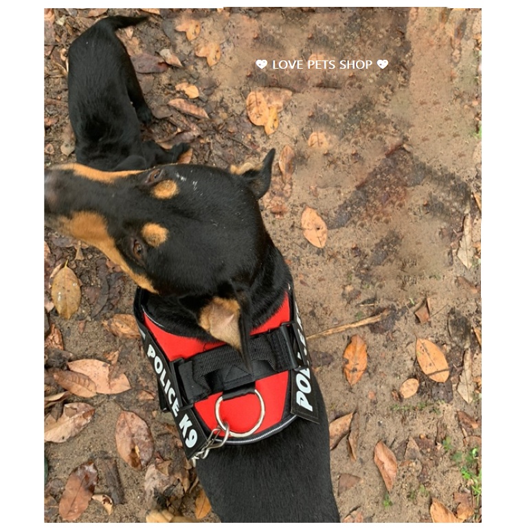 ĐAI YẾM NGỰC CHO CHÓ LỚN K9, YẾM CHO CHÓ (KHÔNG BAO GỒM DÂY DẮT) -  LOVE PETS SHOP