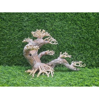 Lũa Bonsai nghiêng số 2 cấy rêu.( N25-C15)