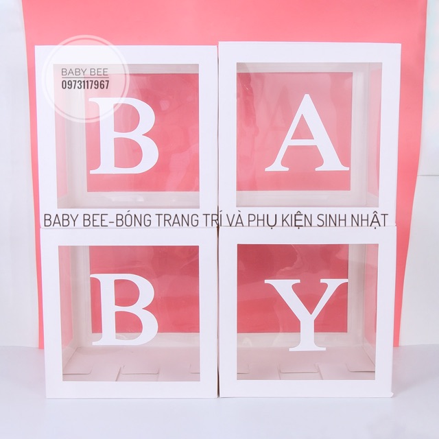 Bộ 4 Hộp BABY Trong Suốt Trang Trí Tiệc