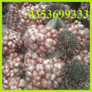[ Sẵn HCM] 250g Củ hành ta khô sạch Kinh Môn Loại 1 to mẩy để được lâu