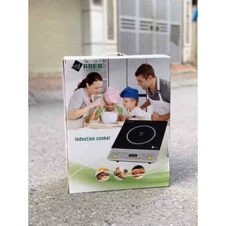 Bếp từ ARBER AB300