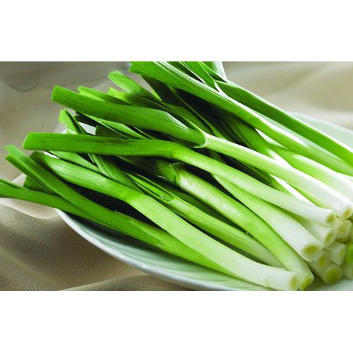 Hạt Giống Tỏi Tây Ý 100 hạt JL35