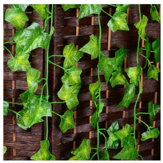 LẠ NHỌN XANH SỢI DÂY LEO 2.1M DÀI KÈM ẢNH THẬT