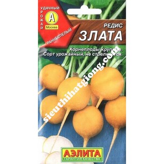 Hạt Giống Củ Cải Vàng (3g)