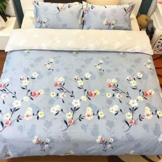 Bộ chăn ga gối cotton 100%