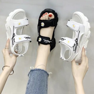 Sandan đế bánh mì 5P hoa cúc
