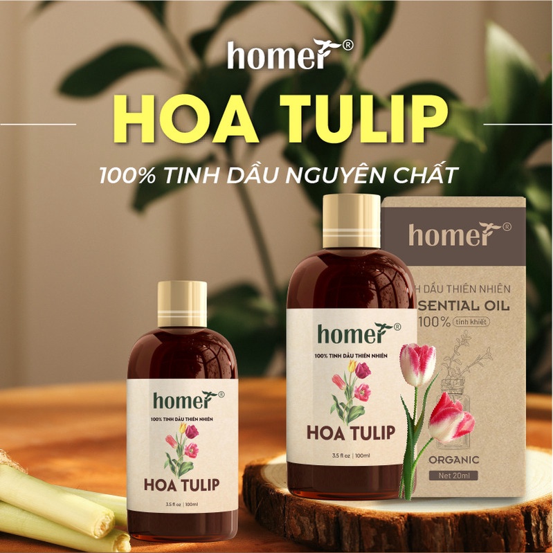 Tinh dầu Hoa Tulip Homer - Tulipa Essential Oil - đạt chuẩn chất lượng kiểm định