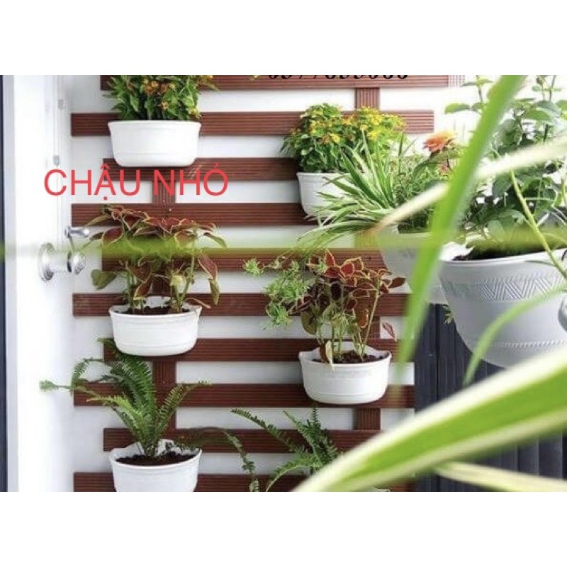 Chậu nhựa trồng cây treo tường thông minh hình bán nguyệt-loại dày,đẹp