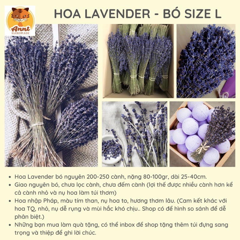 Bó hoa khô Lavender  200-250 cành