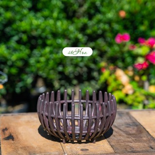 Chậu trồng lan Rổ bí phi 23cm (Dày, đẹp)