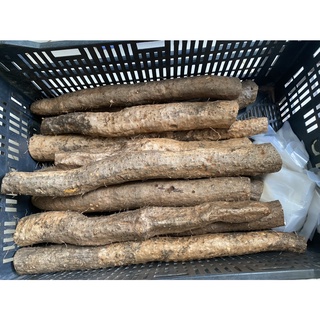 Củ Mài Nếp- Củ Hoài Sơn khô