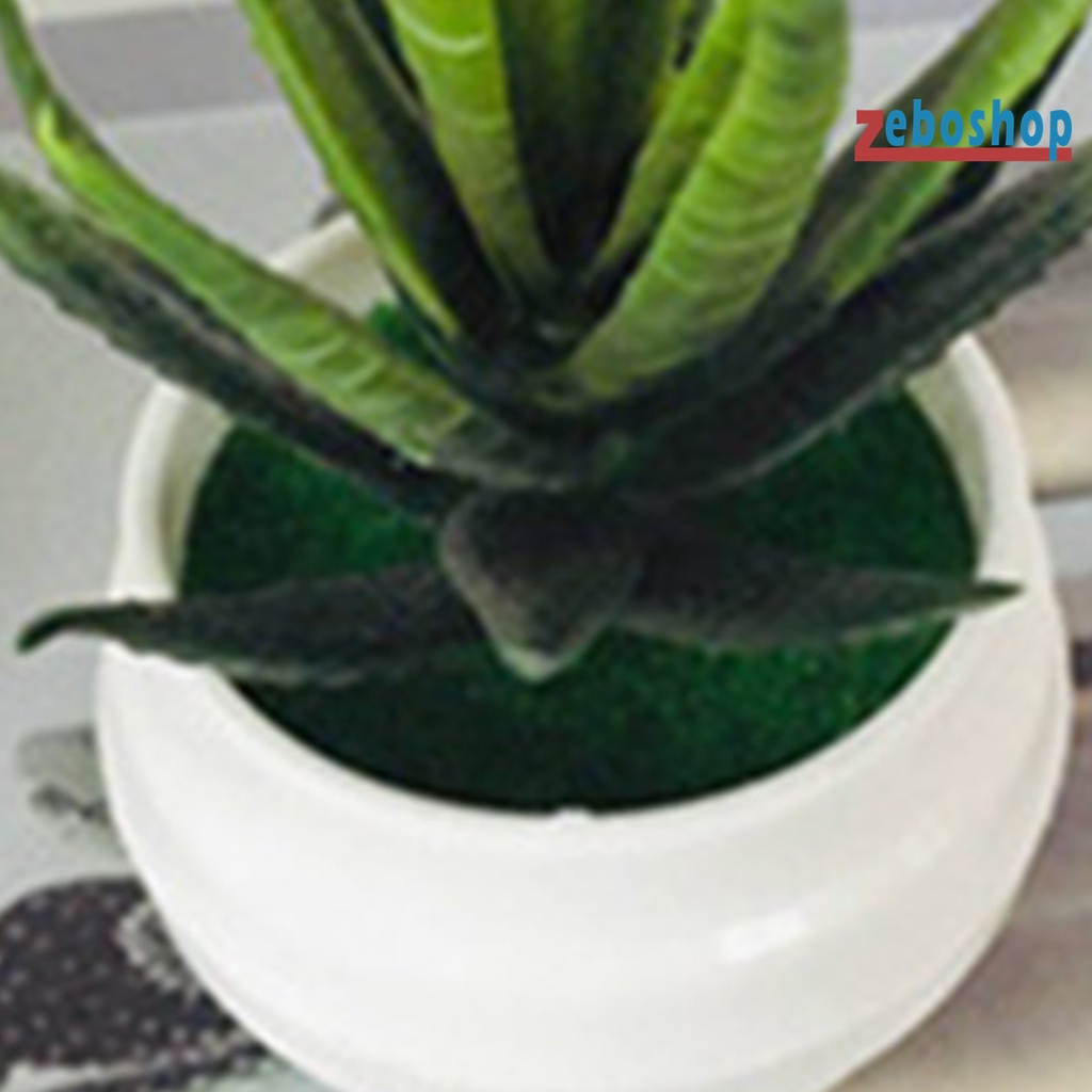 Chậu Cây Bonsai Giả Bằng Nhựa Dùng Trang Trí Nhà Cửa