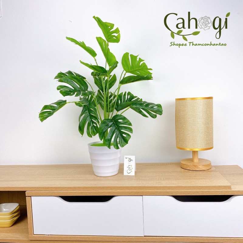 Cây nhựa PVC - Cây Lá Rùa DECOR cỡ lớn (Không Kèm Chậu)