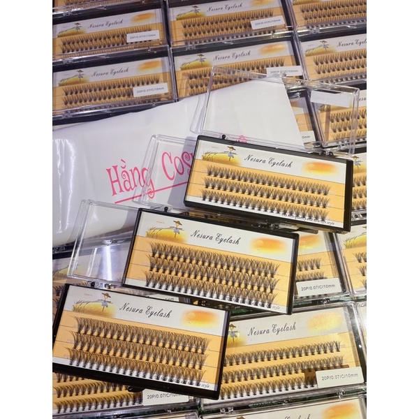 Mi Chùm vàng 10D -20D