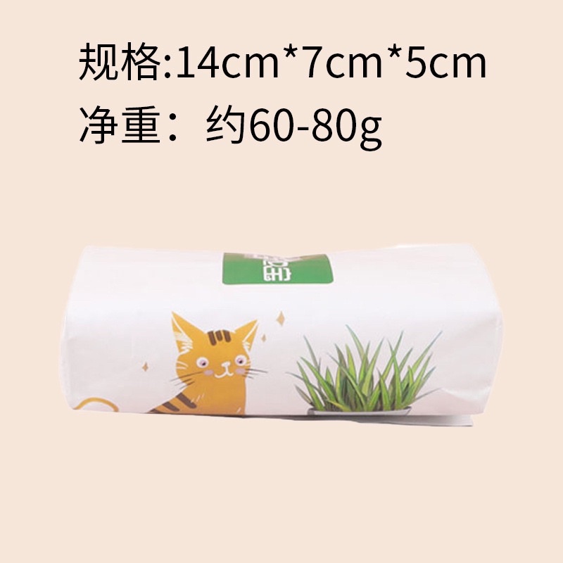 Cỏ Mèo Tự Trồng